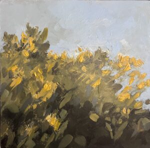 art gallery harrogate - painting of yellow gorse