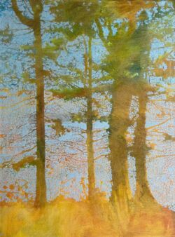 Oil on linen, 61cmH x 45cmW, unframed. SOLD