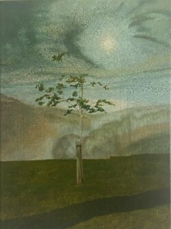 Oil on linen, 40cmH x 30cmW. SOLD