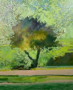Oil on linen,50cmH x 40cmW. Unframed. SOLD