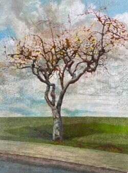 Oil on linen, 40cmH x 30cmW. Unframed. SOLD